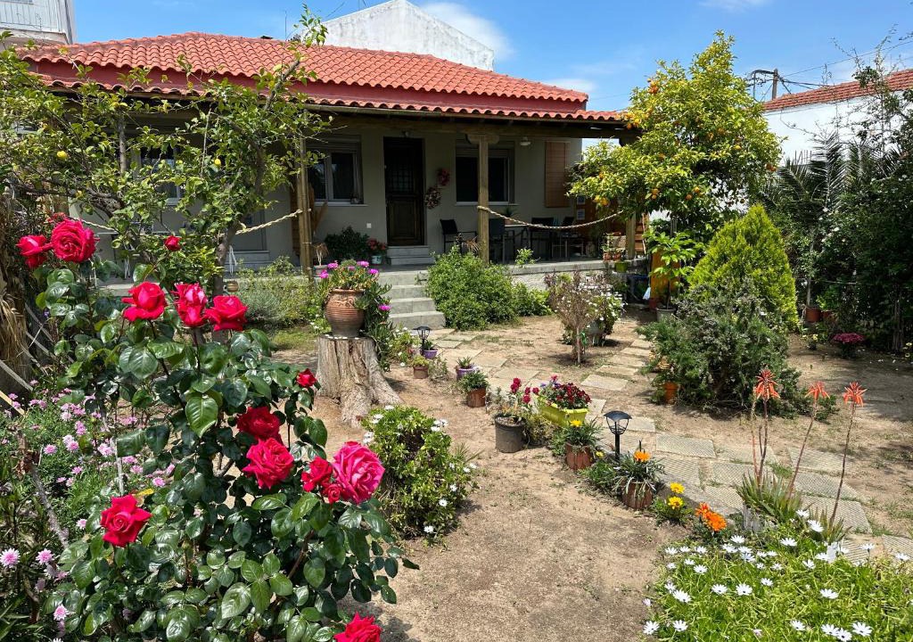 Nees Pagases Apartment | Λευκό γιασεμί - Νέες Παγασές Βόλος