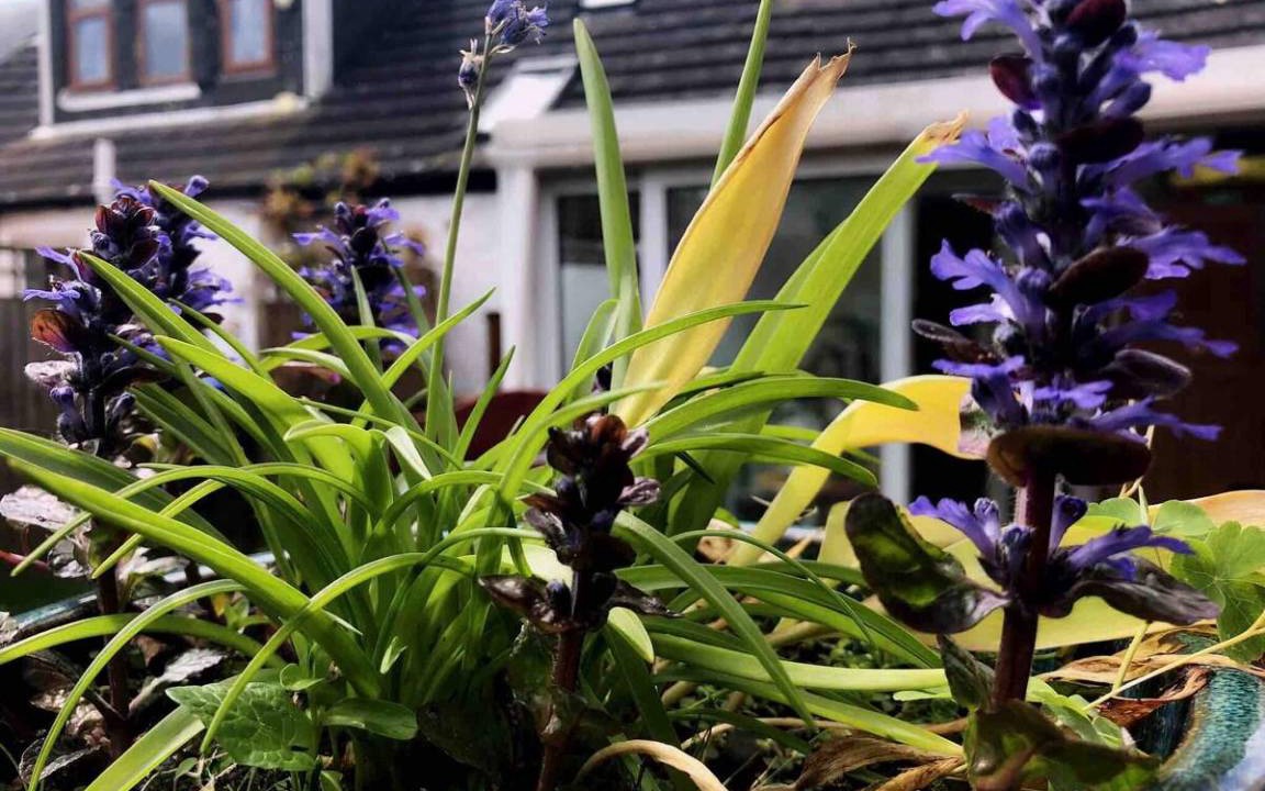 Girvan House | 100 m² House ∙ 3 bedrooms ∙ 6 guests