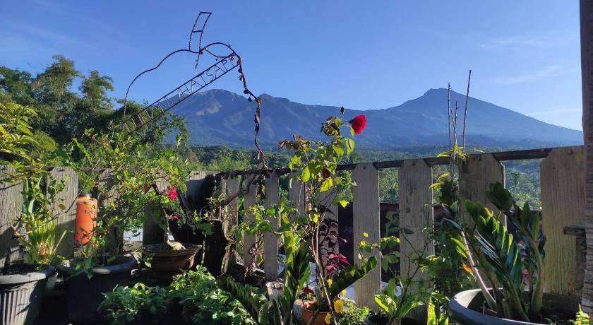 Tetebatu Bed & Breakfast | 15 m² Bed and breakfast ∙ 6 guests