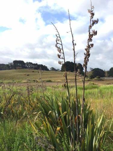Raglan Bed & Breakfast | 25 m² Bed and breakfast ∙ 2 guests