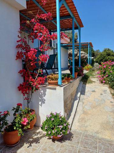 Vathi Apartment | 30 m² Apartment ∙ 1 bedroom ∙ 4 guests