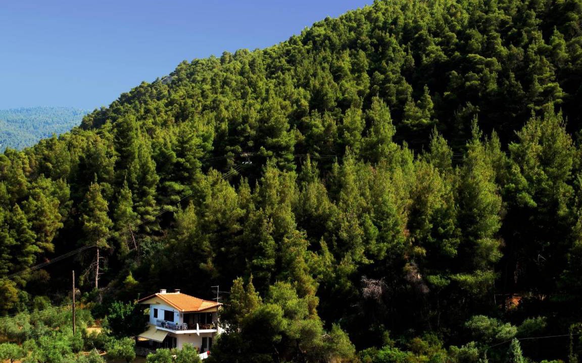 Sithonia Apartment | 50 m² Apartment ∙ 1 bedroom ∙ 4 guests