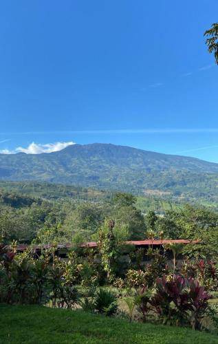 Turrialba Hotel | 52 m² Hotel ∙ 4 guests