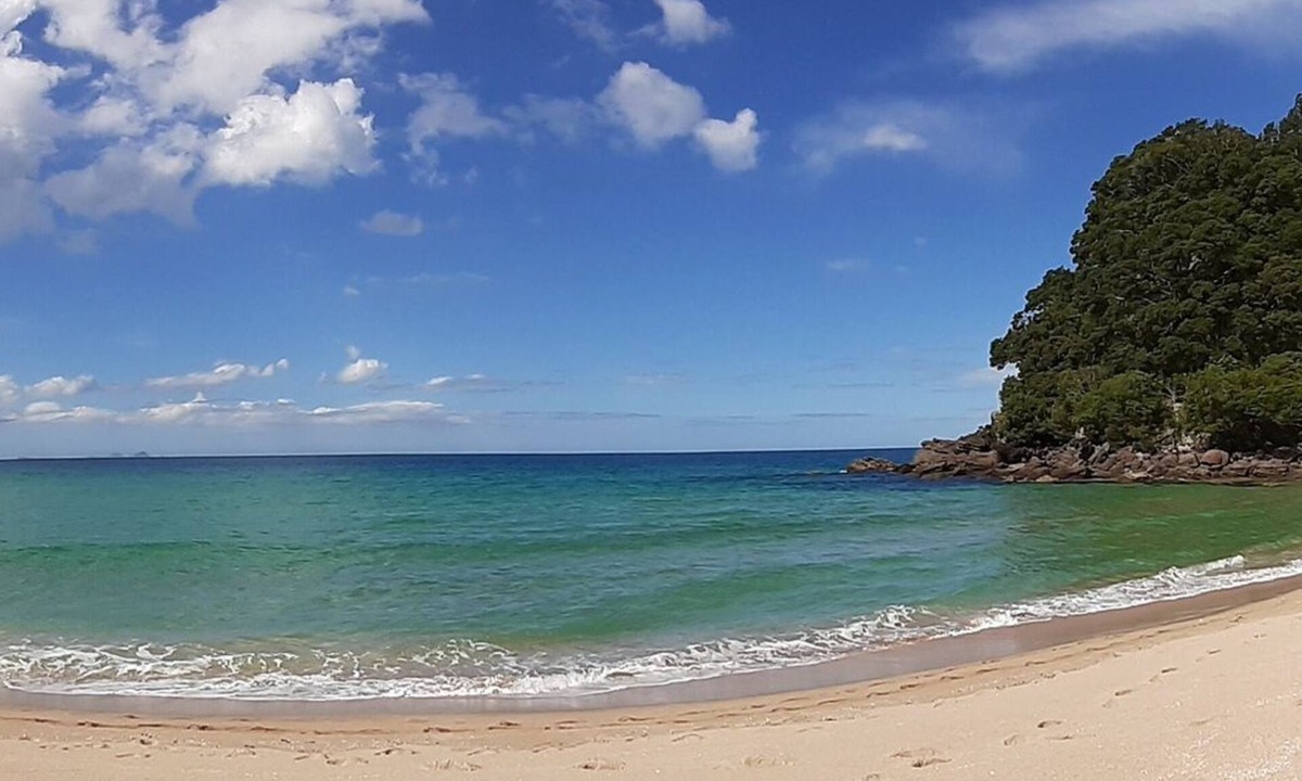 Onemana Apartment | A couple's getaway and pet beach holiday spot, 2 minute walk to the beach ⛱