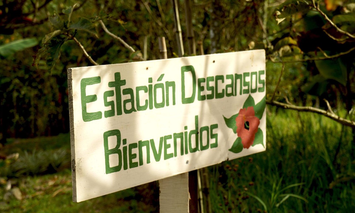 Santiago Cabin | A Station In your Life Path You Will Never Forget And Will Be Wanting To Return
