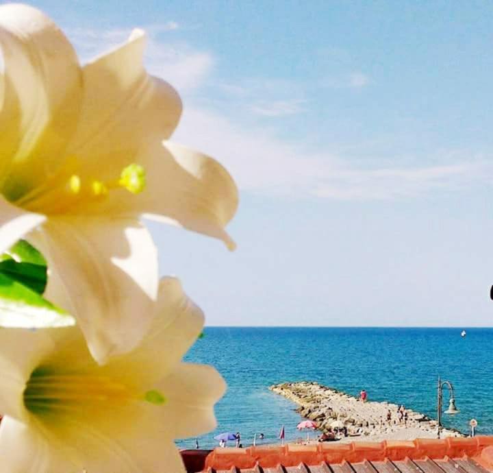 Cariati House | Al Giglio - Affittacamere