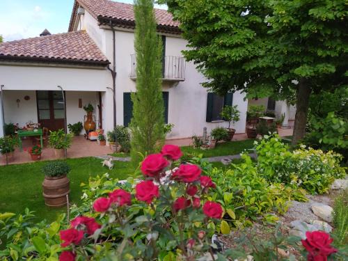 Rotonda Bed & Breakfast | Al Vecchio Camino
