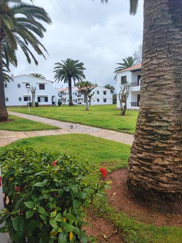 Sant Jaume Mediterrani Apartment | Apartamento colibrí