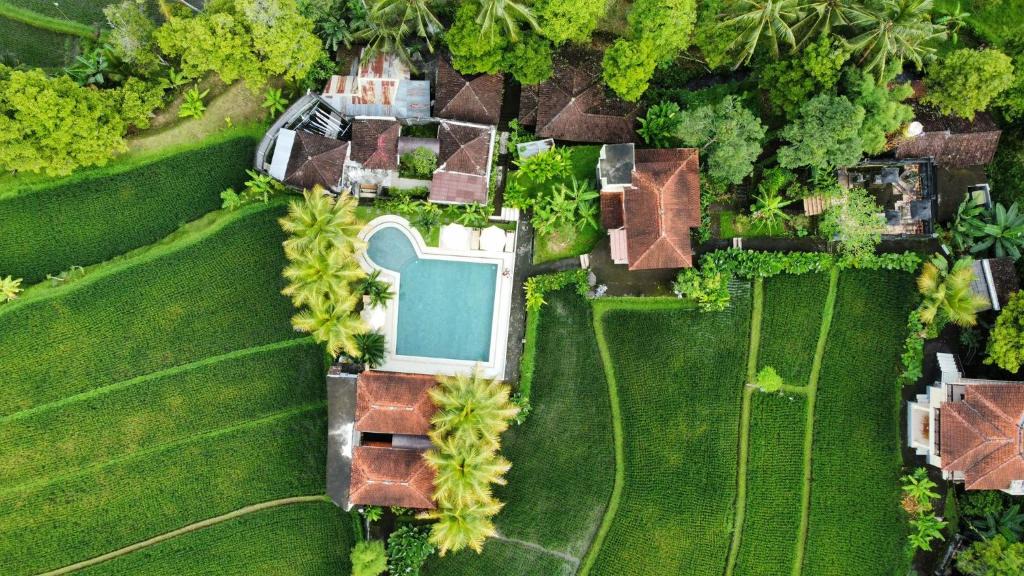 Munduk Resort | Atres Villa