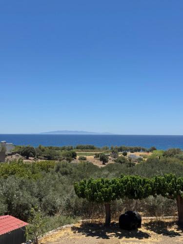 Karystos Apartment | Avra House