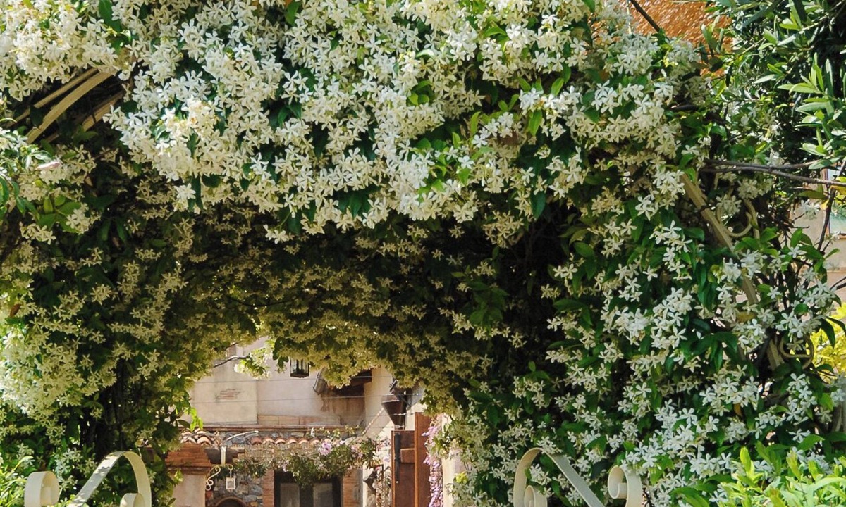 Cersuta Bed & Breakfast | B&B La Torretta