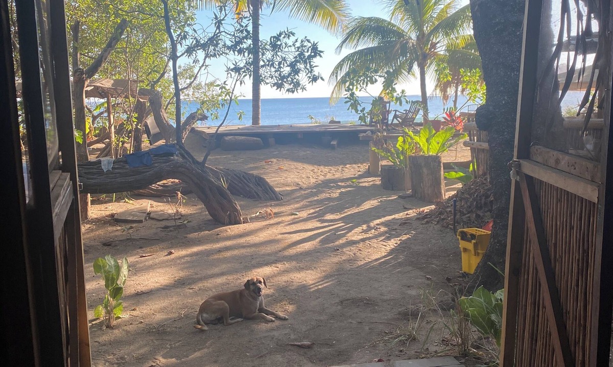 Garza Cabin | Bamboo Beach Bungalow