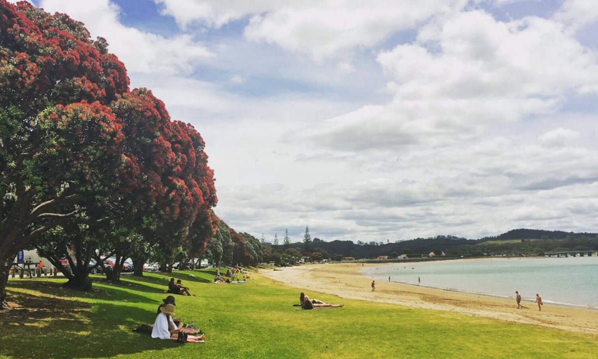 Paihia Hotel | Bay Sands Seafront Studios