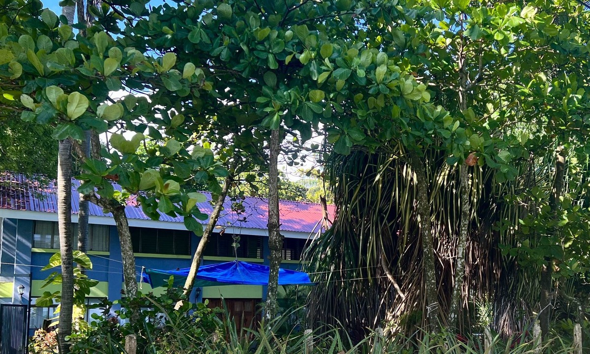 Esterillos Oeste House | BEACHFRONT HAVEN OFFERS JOYFUL ONE OF A KIND HOLIDAY JUST STEPS FROM THE OCEAN