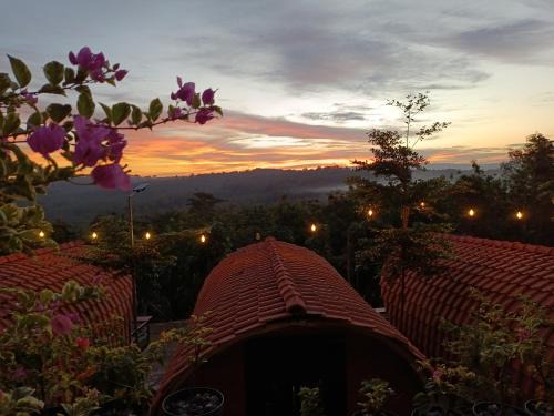 Patuk Other | Bitu Garden