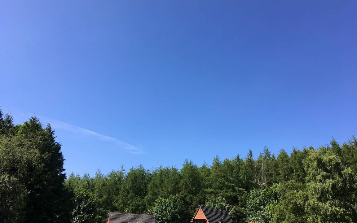 Fortrose Cottage | Cabin ∙ 2 bedrooms ∙ 4 guests