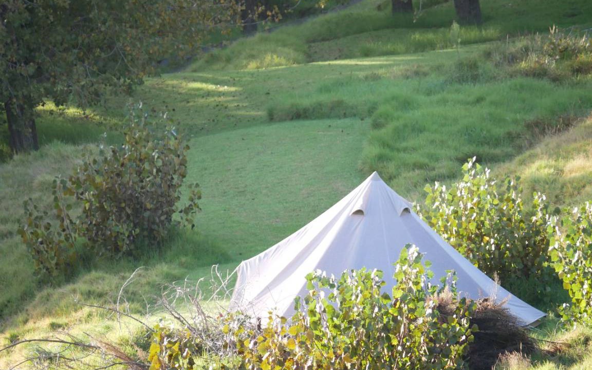 Te Arai Other | Camping ∙ 1 bedroom ∙ 4 guests