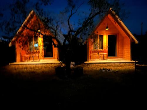 Grile Other | Camping Tree Olives