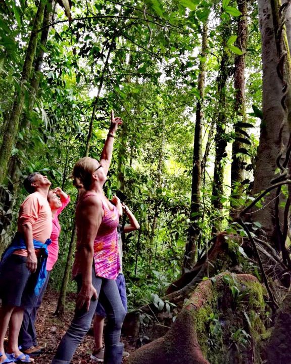 Vieja Cabin | Cecropia Ecolodge