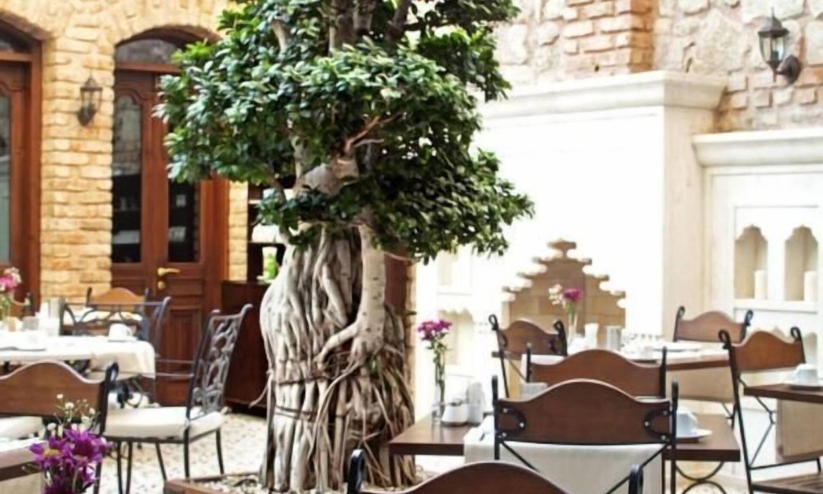 Sultanahmet Hotel | Celine Hotel