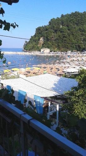 Chrisi Akti Hotel | Chrisi Akti Hotel