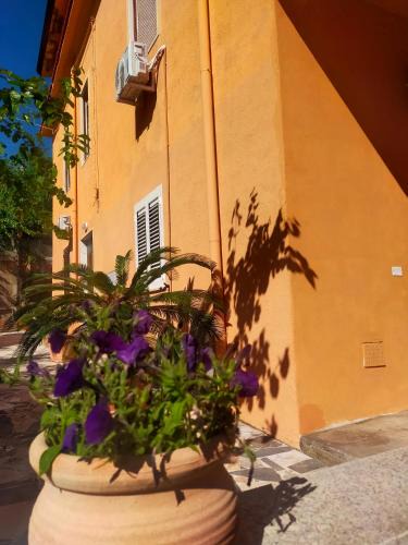 Scalea Bed & Breakfast | Cumpa Luca Bed and breakfast