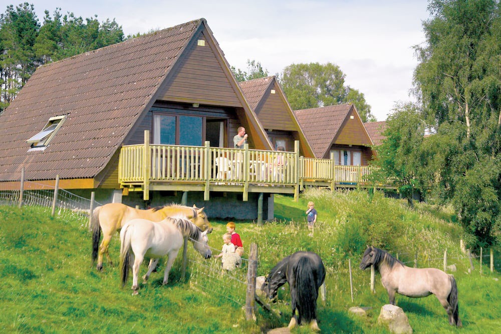 Invergordon Ski Chalet | Delny Highland Lodge