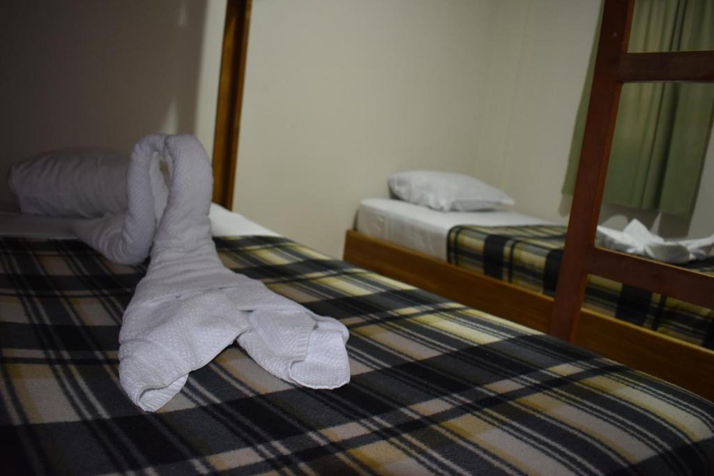 Santa Elena House | Downtown Hostel MTV