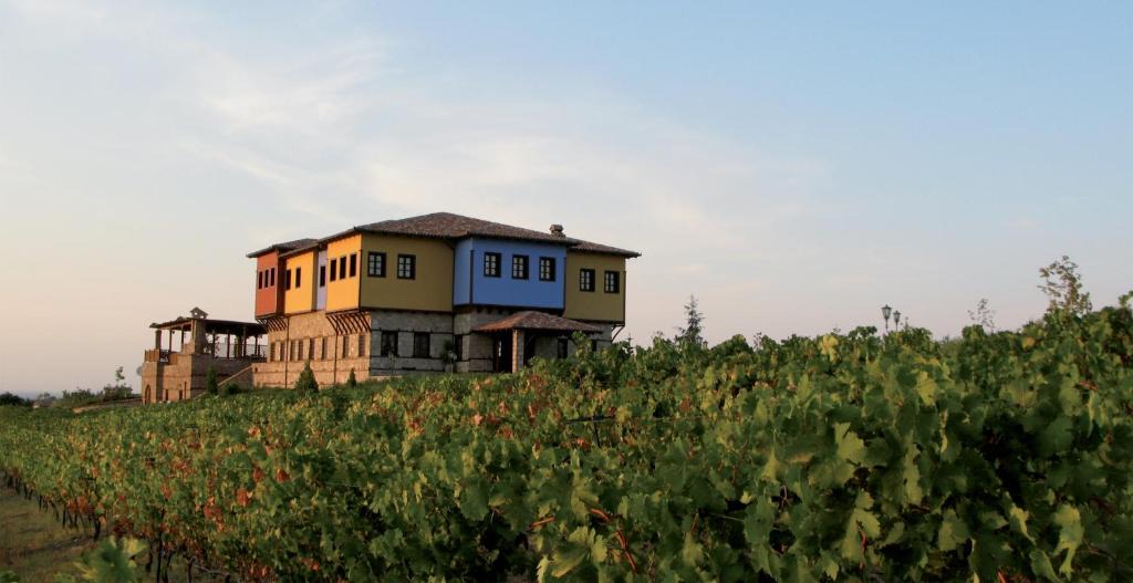 Vergina Hotel | Estate Kalaitzis