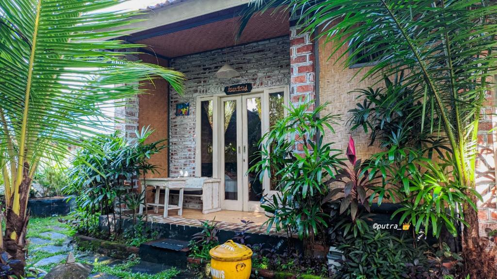 Pejarakan House | Exotic Menjangan
