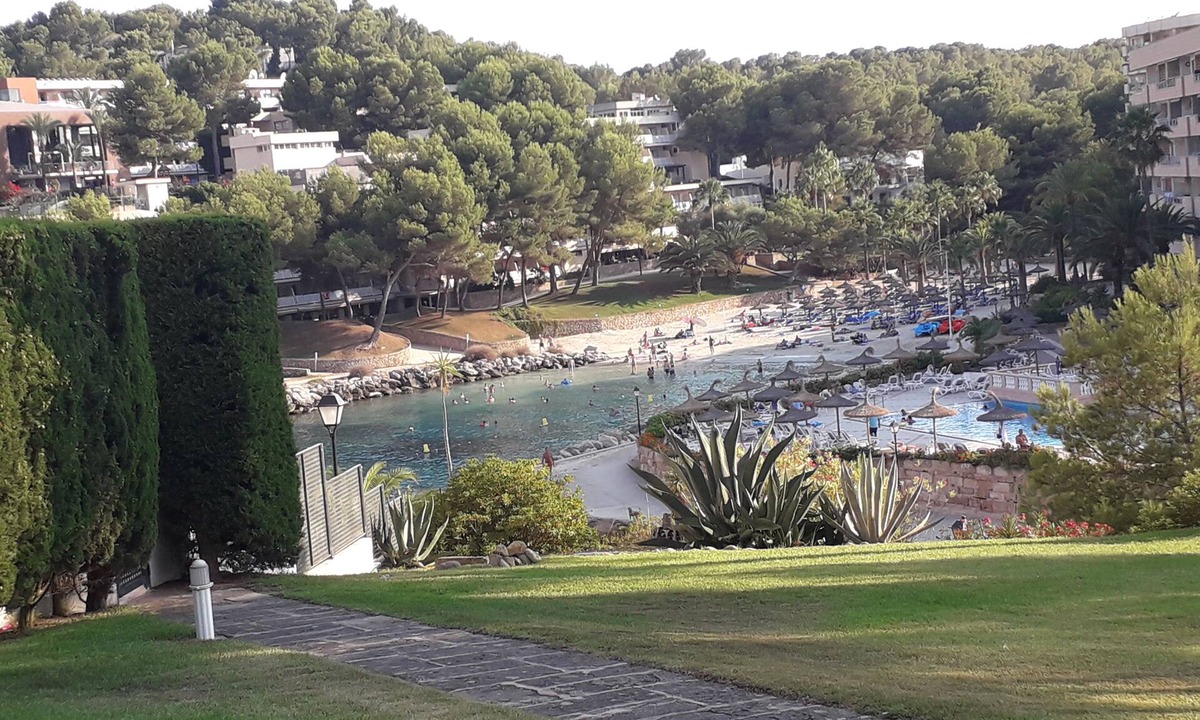 Badia de Palma Apartment | Favorite place in Mallorca, garden saltwater pool and direct sea access