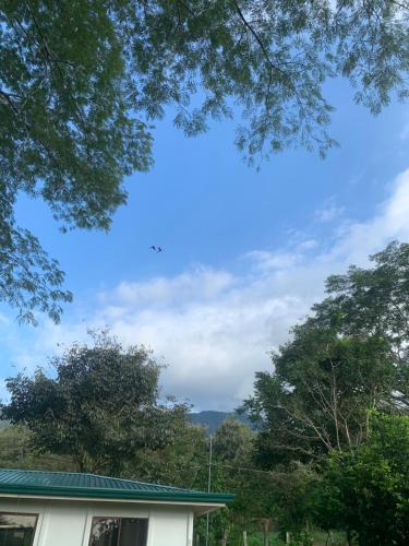 Garabito House | Finca flo