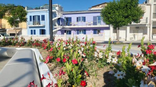 Marina Apartment | Fronte mare alba chiara - Apulia Houses & Flats - Ecosostenibile !
