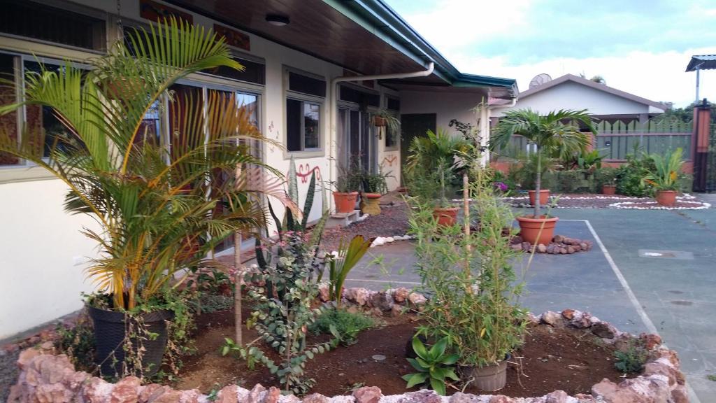 San Isidro de Grecia Cabin | Gated, Year round springon Poas Mountain, new American owned nature lodge