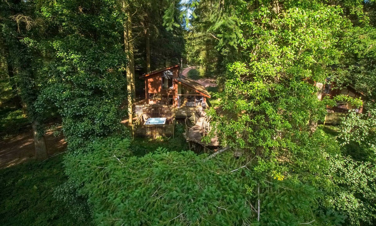 Peebles Cabin | Glentress Forest Golden Oak Treehouse, Peebles