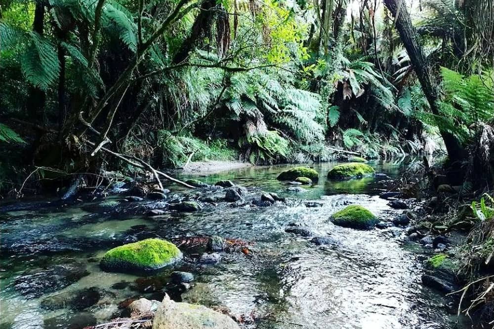 Rotorua RV Rental | Gorgeous Rotorua Accommodation Perfect for Luxury Glamping, North Island