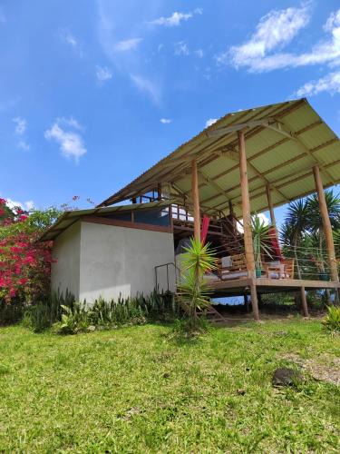 Pavones Other | Hacienda Monteclaro
