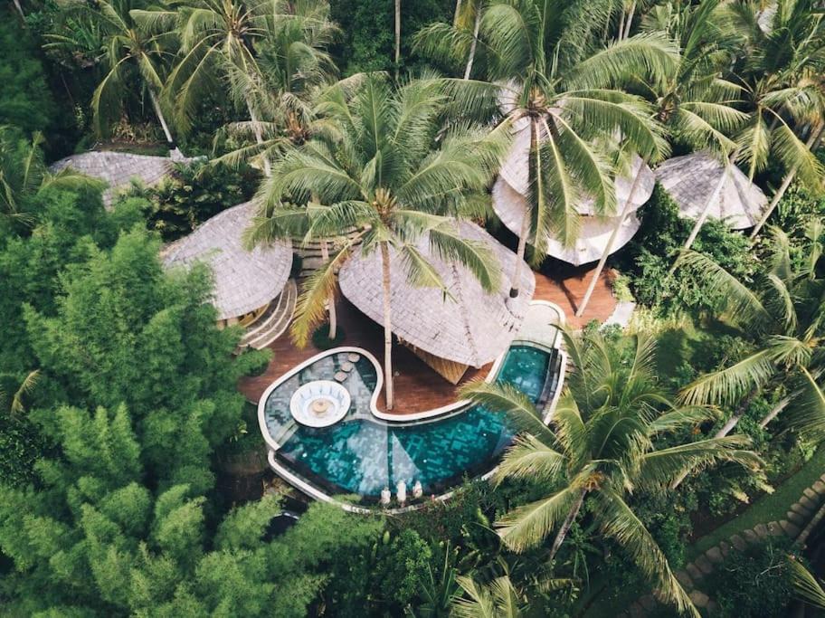 Abiansemal Villa | Harmony House, Bamboo House with Pool view