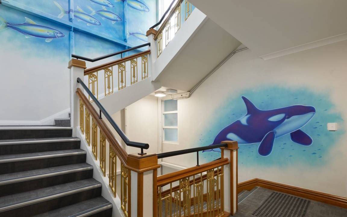 Tauranga Hostel | Hostel ∙ 8 guests
