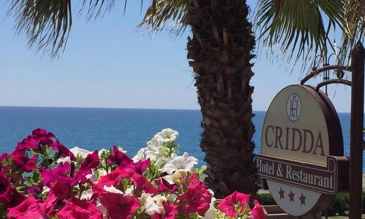 Gizzeria Hotel | Hotel Cridda