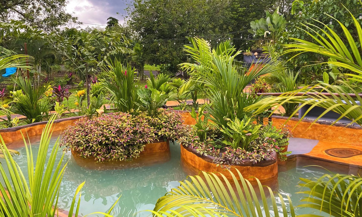 Penas Blancas Hotel | Hotel Heliconias Nature Inn & Hot Springs