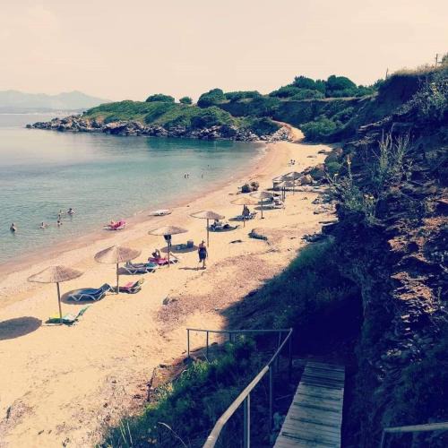 Mytikas Hotel | Iraklis Hotel