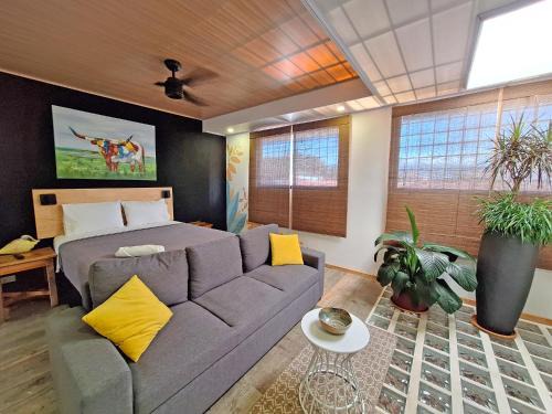 Pavas Bed & Breakfast | Jungla Urbana, BnB