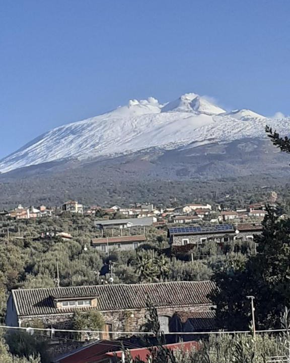 Ragalna Apartment | La terrazza