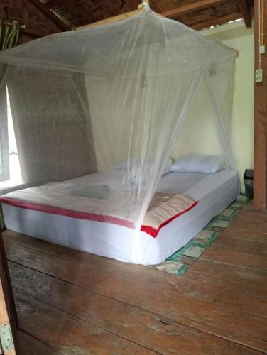 Bohorok House | Landak River Guest House Only trekking with Us