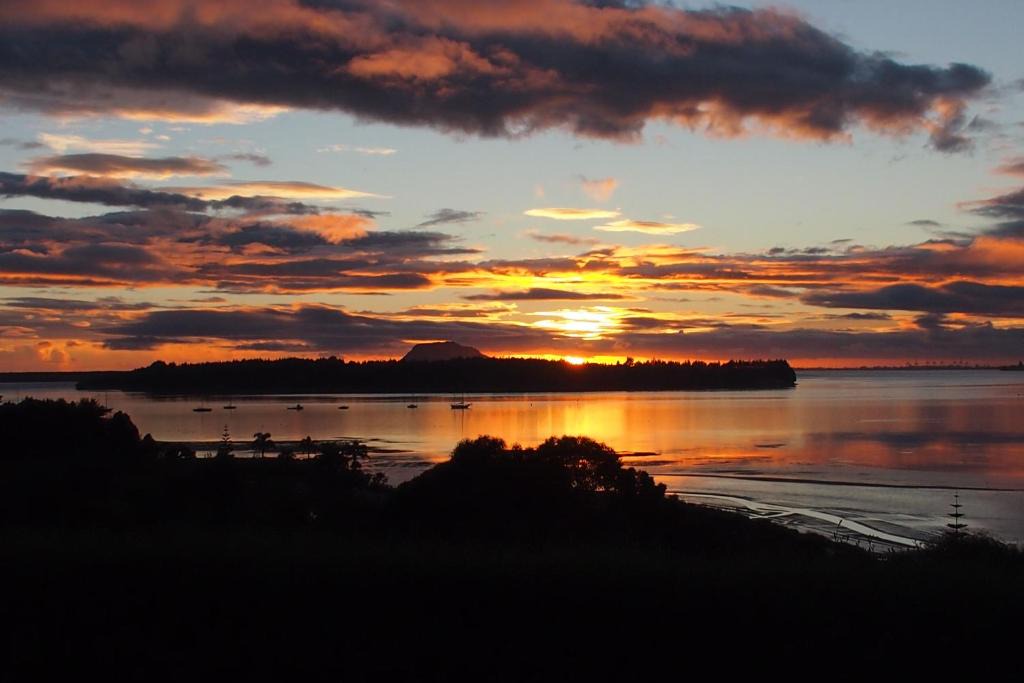 Omokoroa Apartment | Mangawhai Bay B&B