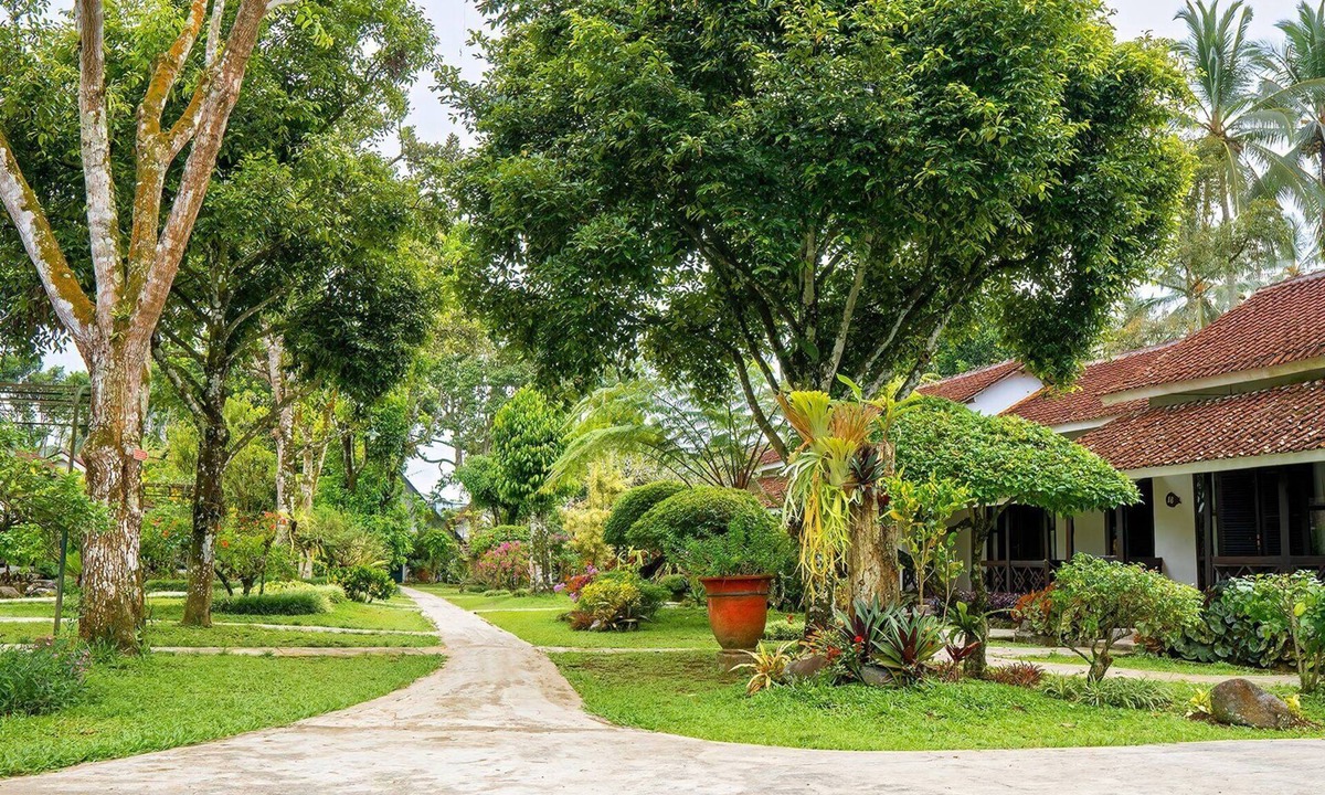 Kalibaru Hotel | Margo Utomo Eco Resort