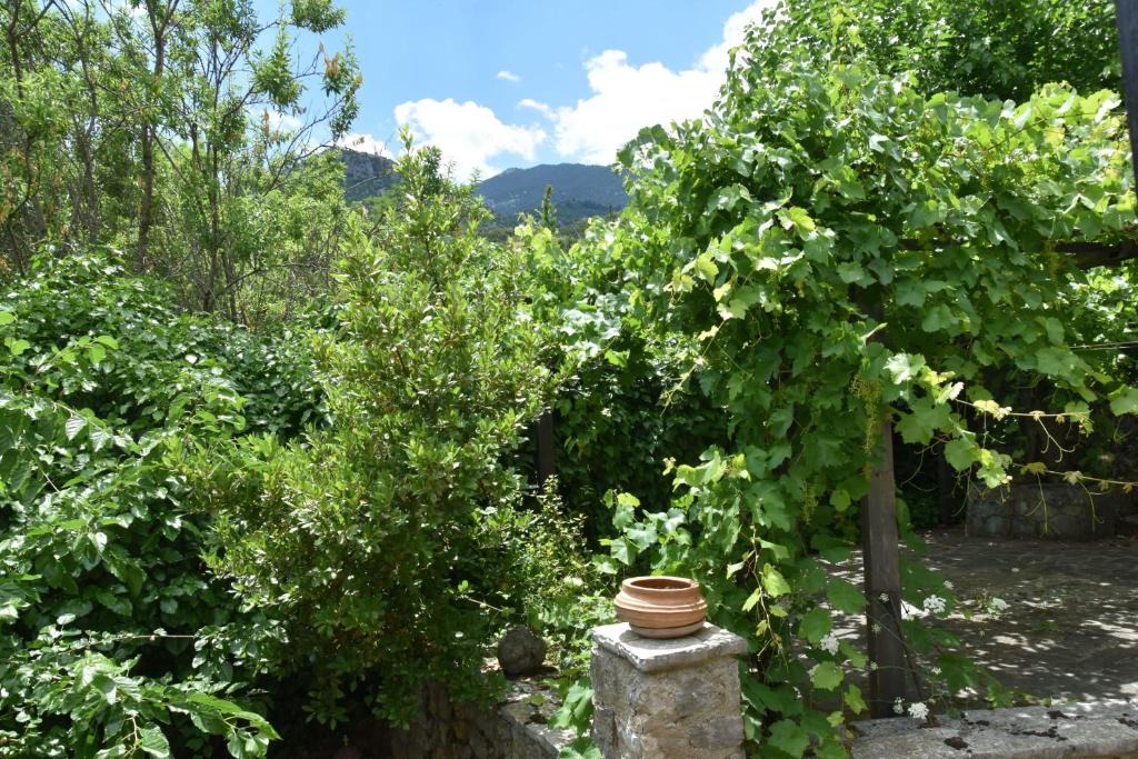 Kefalochori Villa | Mariolata Vintage Stone Villa - 4 Season Escape