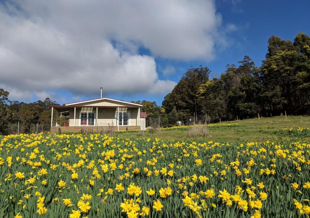 Golden Valley House | Mountain Blue Guest House