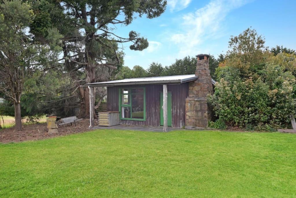 Gray House | Mt Elephant Forrest Cabin